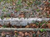 image of grave number 614284